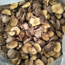 【干香菇便宜]产地源头干香菇_大小片菇、薄菇、厚菇、花菇