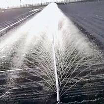 【包邮】喷水带多孔喷灌带微喷水带农田灌溉加厚九孔喷带