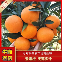 优选】四川爱媛38果冻橙产地直供，电商社区市场大量有