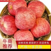 【荐】产地优质红富士苹果，大量现货，口感脆甜，保证质量！